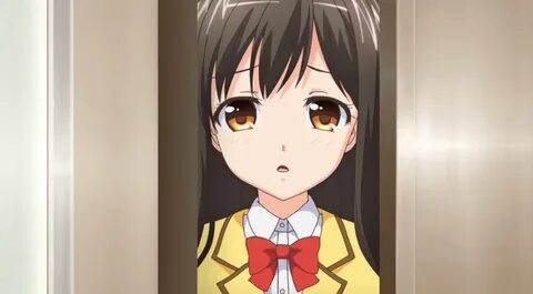 Ero Ishi: Seijun Bishoujo o Kotobatakumi Exhibiting Peak Professionalism.