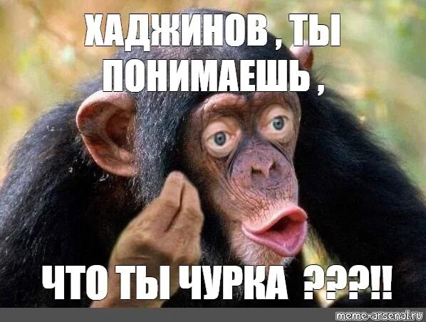 Обезьяна не понимает. Обезьяна Мем понимаю. Мем обьезна. Мемы с обезьянами. Мем обезьяна ты понимаешь.