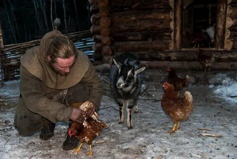 Как несется курица видео