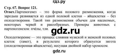 Стр 67 биология 5