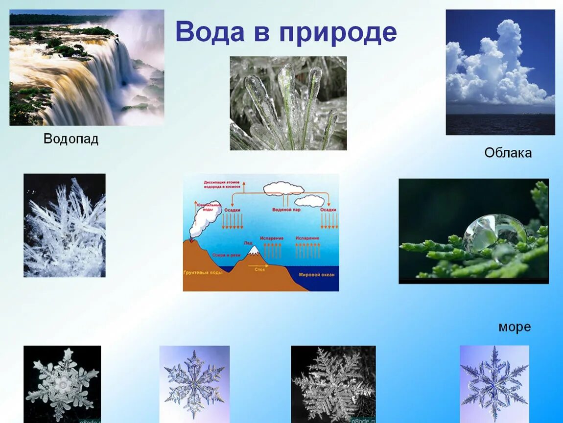 Зимние явления в неживой природе. Неживая природа вода. Зимние явления в живой природе. Картинки неживой природы вода. Неживая природа природные явления