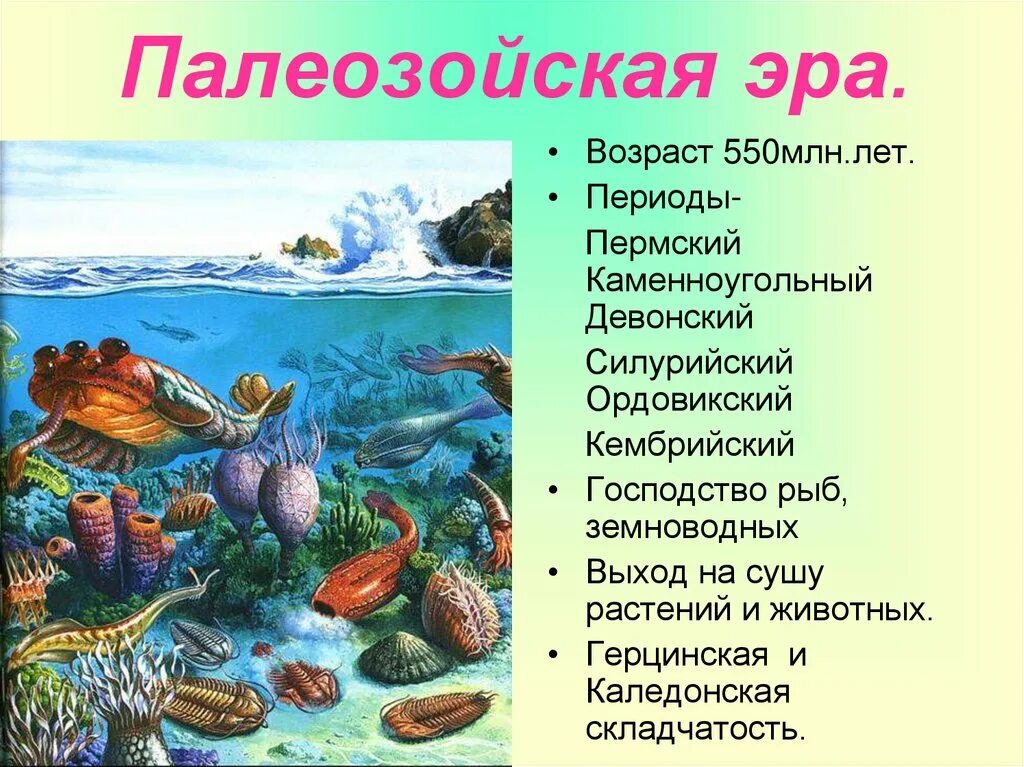 Какая эра палеозойская