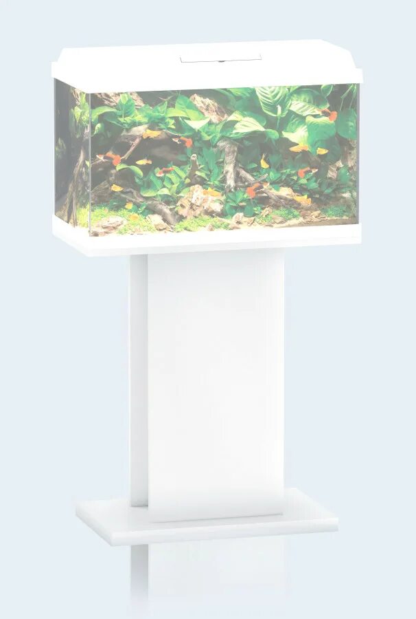 Juwel primo 60 led. Ювель рекорд 70. Аквариум juwel primo 70 led. Juwel primo 70. Juwel 60.