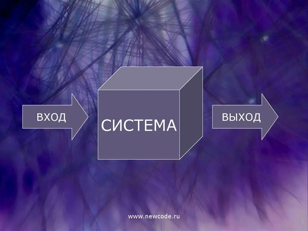 Система и выход из нее. Выход системы. теория систем картинки. теория систем рисунок. общая теория систем картинки для презентации.