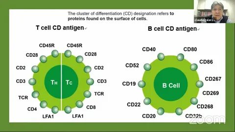 Cd b c
