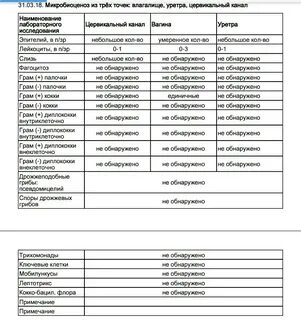 Мазок лейкоциты норма у женщин после 60