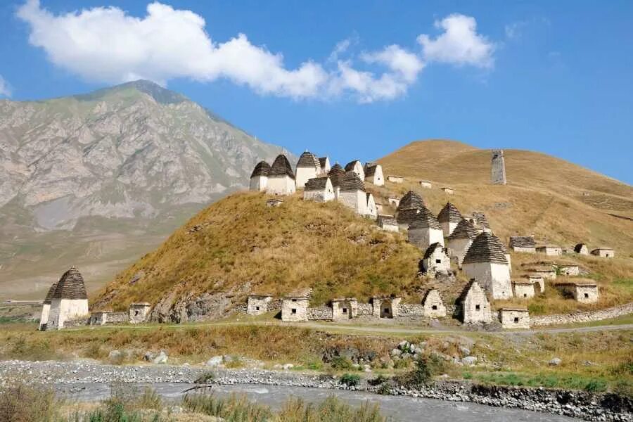 Посетить северную южную