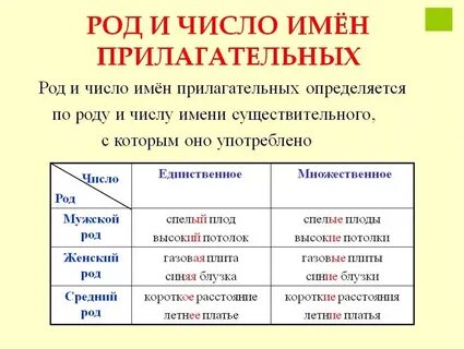 Как определить род число и падеж