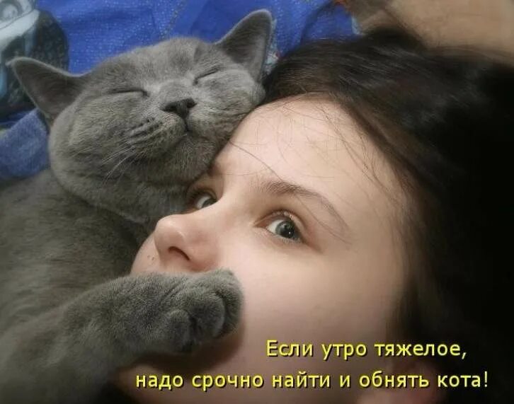 Почему коты молчат