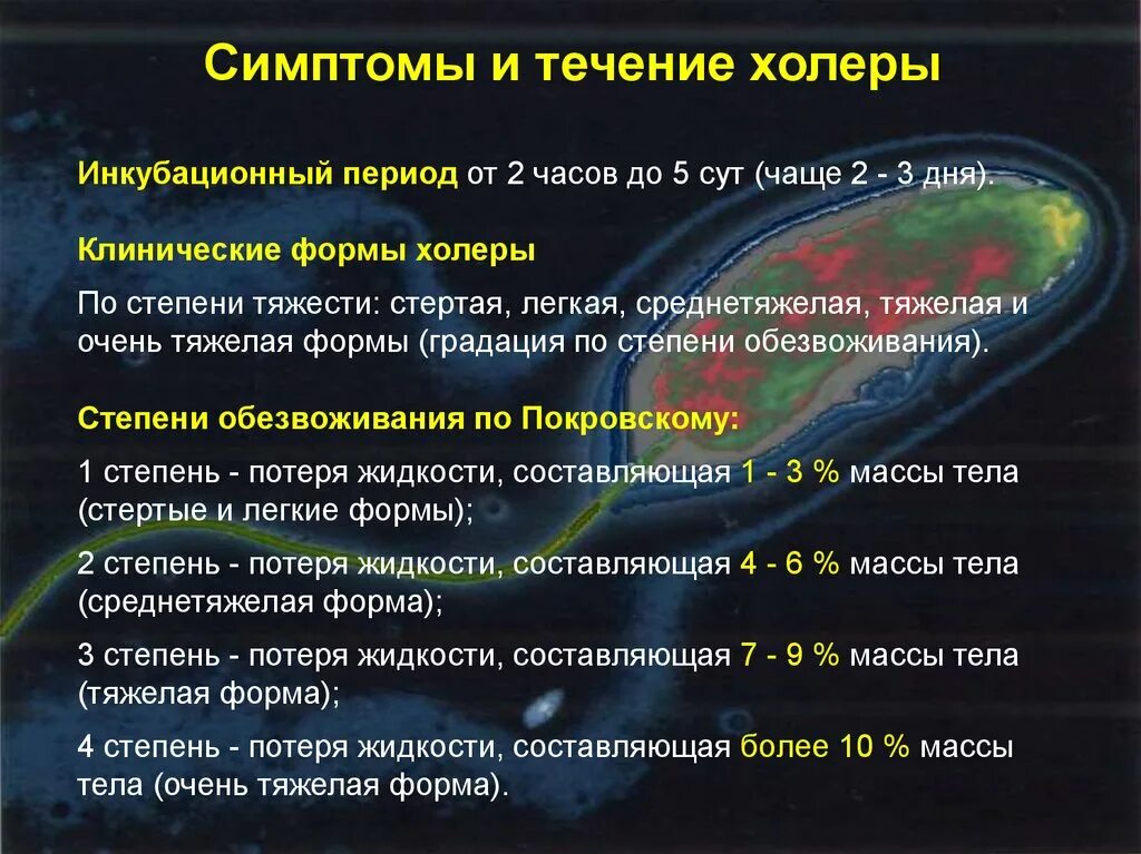 Основные клинические проявления при холере. Основные симптомы холеры. Специфические симптомы холеры. Примеры холеры