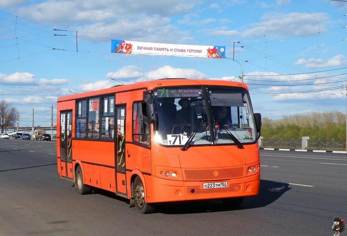 Автобусы нн. Автобус т71 Нижний Новгород. Автобус 71 Нижний Новгород. Автобус ПАЗ Нижний Новгород 83. ПАЗ 3204 ПИТЕРАВТО.