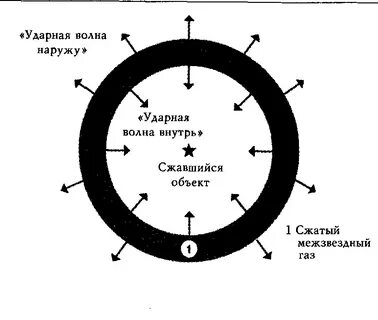 Про цикл