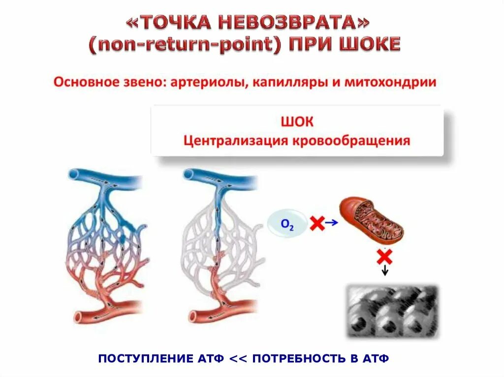 Гемодинамика шока. Централизация кровообращения. ШОК централизация кровообращения. Централизация кровотока. Механизм централизации кровообращения при шоке.