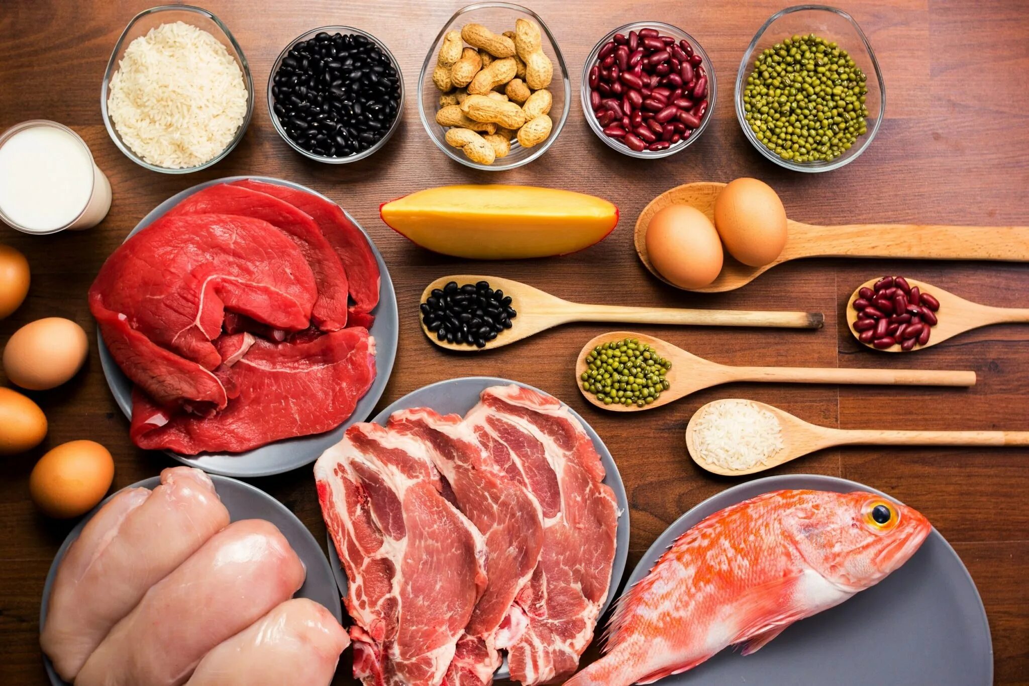Источники белка в продуктах питания. Богатый источник белка. Белок в продуктах. Какие продукты содержат белок. Белковая пища.