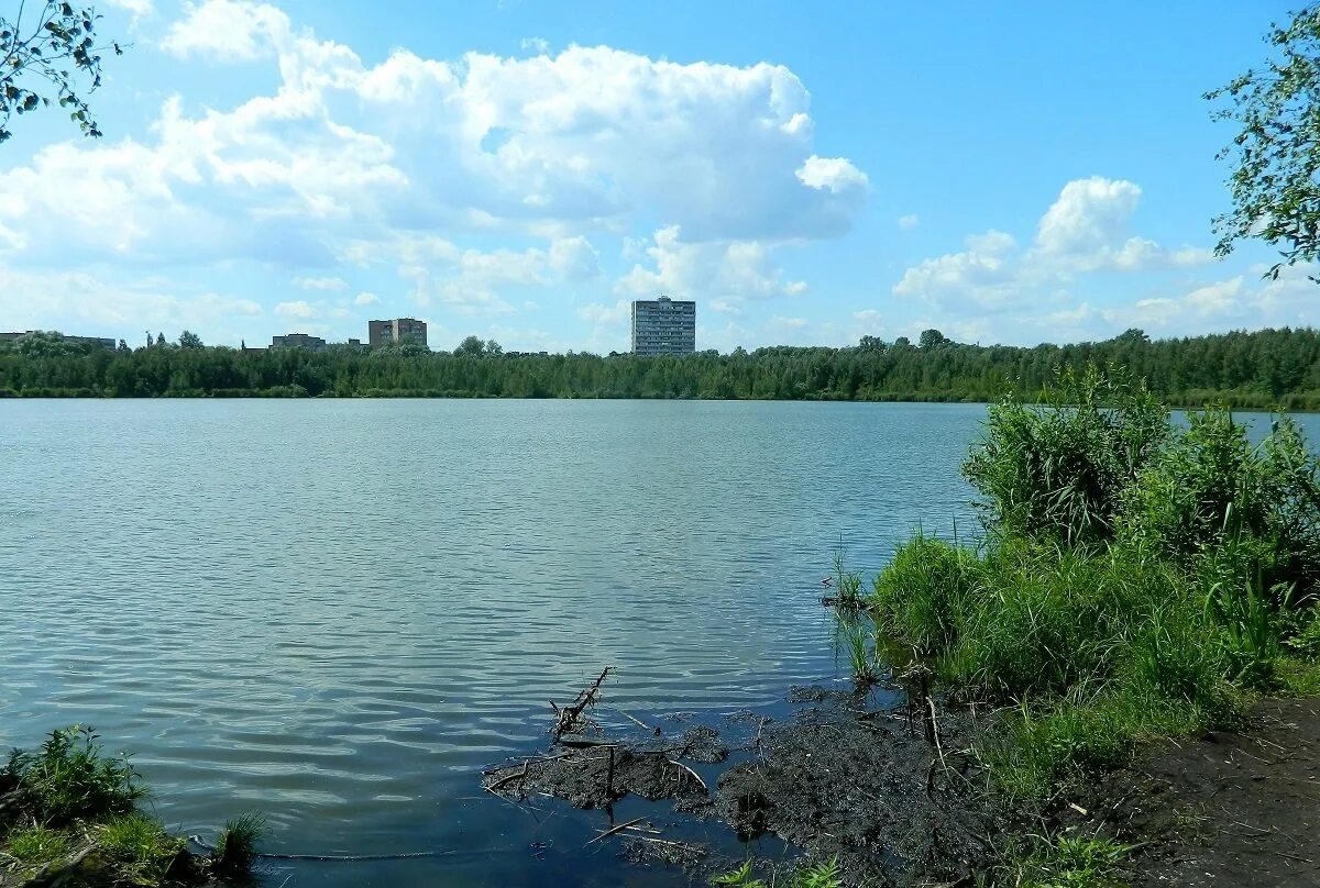 Озеро в москве где. Черное озеро Косино. Святое озеро Москва Косино. Чёрное озеро Москва Косино. Черное озеро Новокосино.