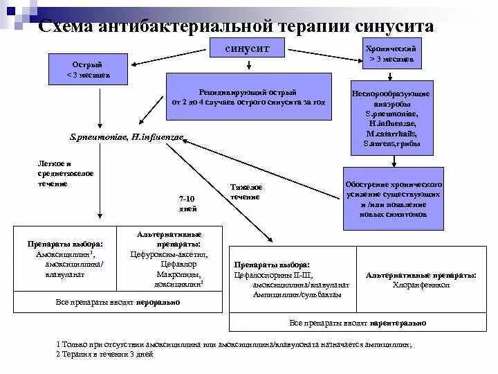 Синусит схема терапии. Схема лечения хронического гайморита. Схема терапии гайморита. Схема лечения Гнойного острого гайморита. Острый синусит антибиотики
