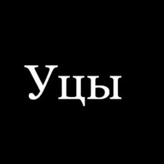 Слово вацок. Наклейка уцы. Салам уцы. Уцы. Надпись бандит.