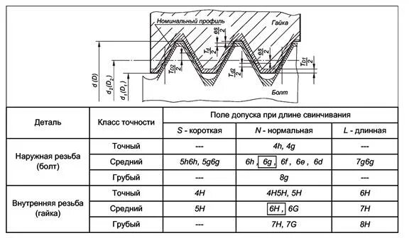 Что значит м5. Резьба 6g. Допуск метрической резьбы h7. Поле допуска резьбы 8h6h. Допуск наружной резьбы 7h6h.