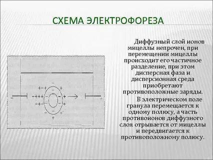 Электрическое поле слоя