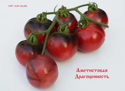 Аметистовая драгоценность
