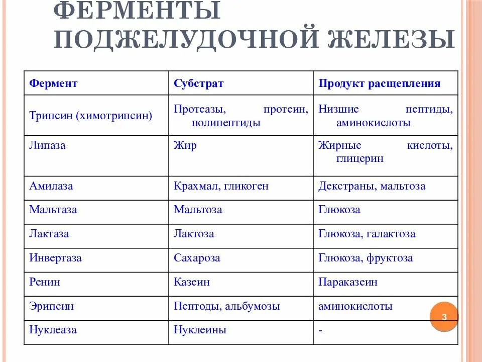 Ферменты поджелудочной железы расщепляются