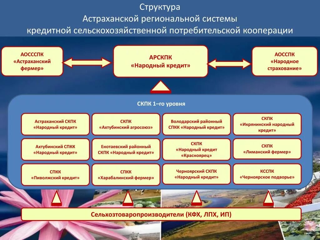 Сравнить структуру экономики аграрных стран. Сравнить структуру экономики аграрных стран