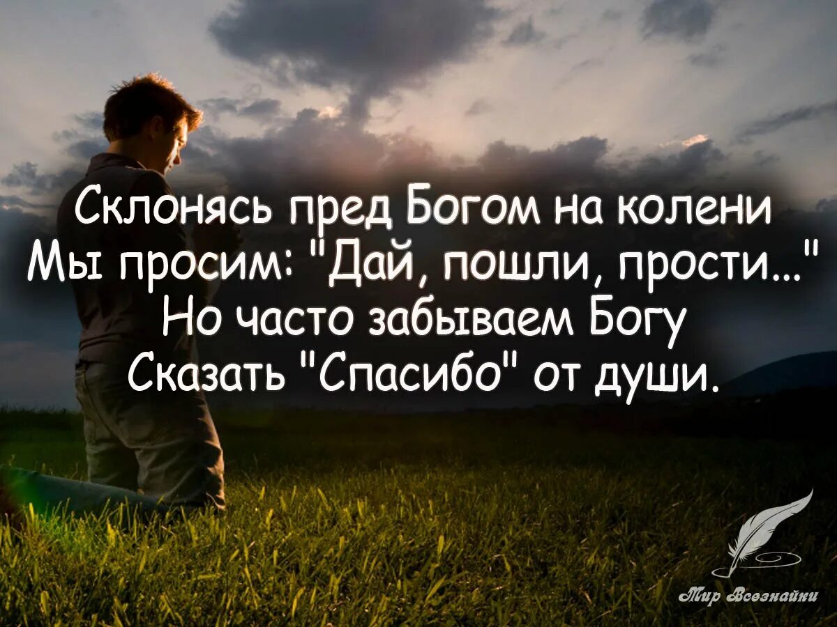 Умные цитаты дня. Красивые цитаты о боге. цитаты со смыслом. цитаты про бога. умные высказывания.