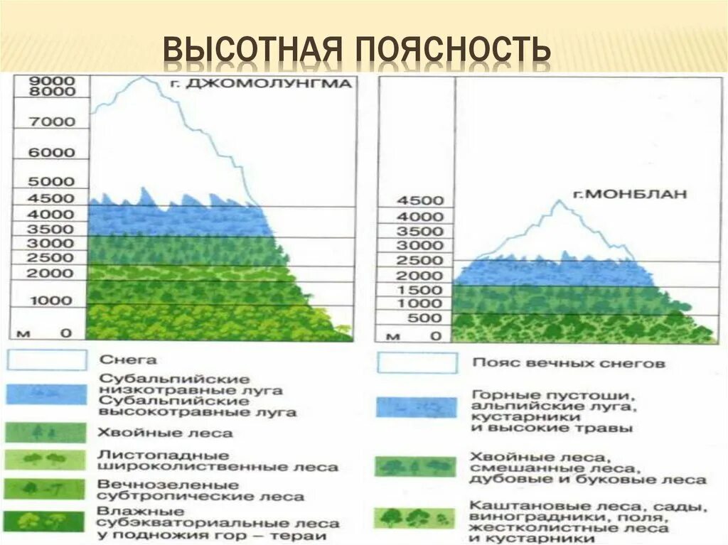 Высотная поясность класс 8 класс. Высотная поясность Северного склона кавказский гор. Высотная поясность горы Джомолунгма. Высотная поясность 8 класс Уральские горы.