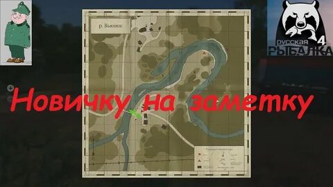 Где ловить на вьюнке