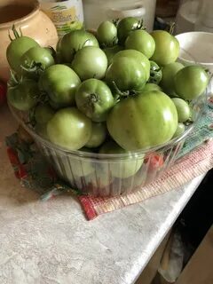 Продам зеленые помидоры