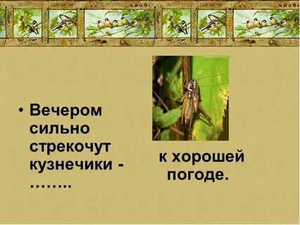 В ухе как будто кузнечики стрекочут