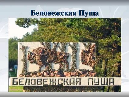 Форум пущу