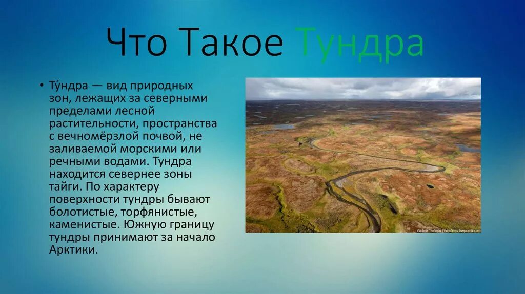 Окружающий мир зона тундра. Природная зона тундра климат. Рассказ о тундре. Природная зона тундра проект. Тундра презентация.