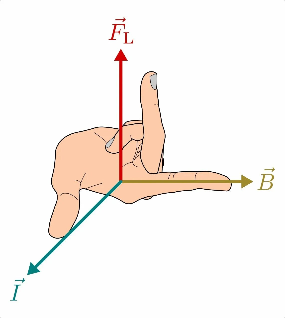 Сила Лоренца направление силы Лоренца. Направление силы Лоренца рисунок. Сила Лоренца направление силы. Сила Лоренца правило левой руки. Правило для определения направления силы лоренца