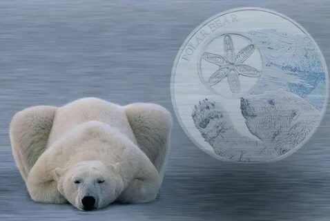 Silver bears