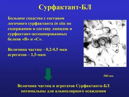 Сурфактант это
