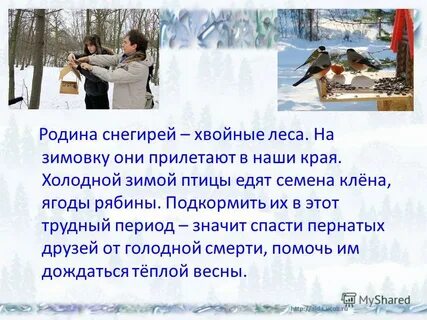Диктант снегирь