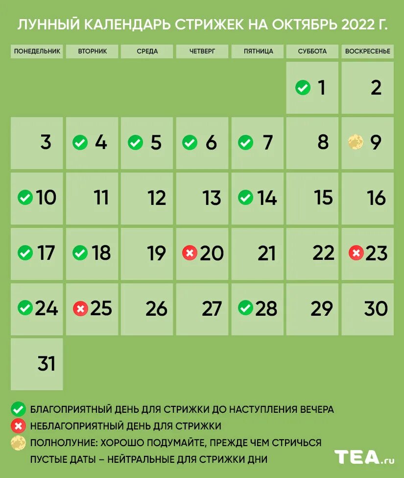 Когда можно стричь волосы апрель 2025: найдено 75 изображений