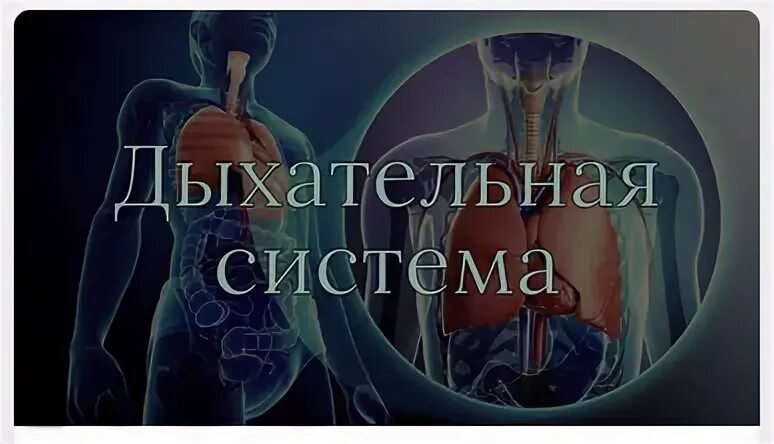 Дыхание 5 2 5