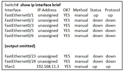 Show interface brief. Show interface brief