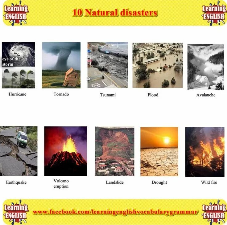 What is the natural disasters