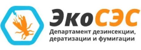 Сэс казань