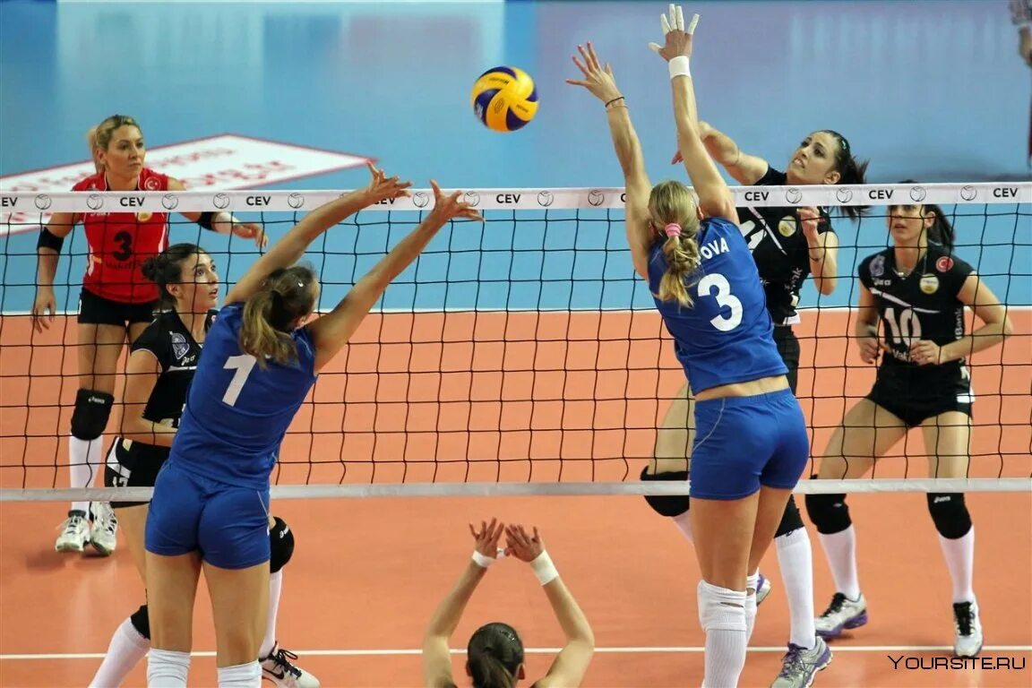 Woman volleyball. Волейбол. Волейбол женщины. Волейболисты женщины. Женский классический волейбол.