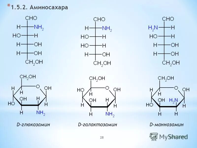 Тест 2 углеводы