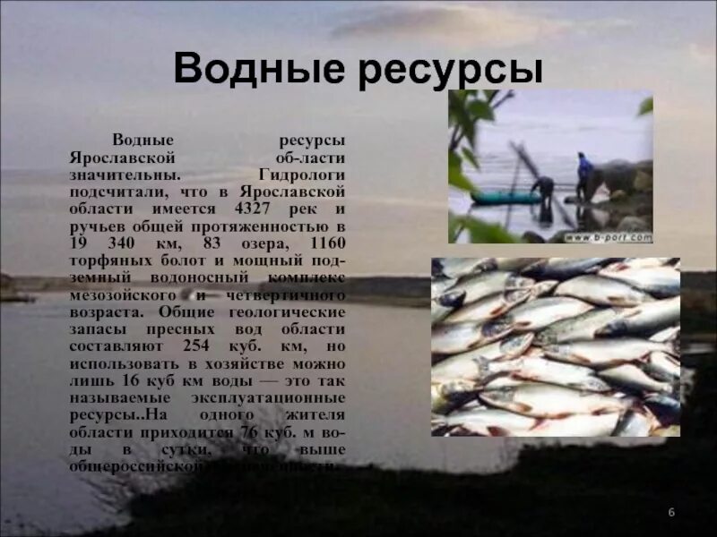 Водные богатства ленинградской области. Водные богатства Ярославля. Водные ресурсы Ярославской области. Водные богатства Ярославской области. Водные богатства нашего края.