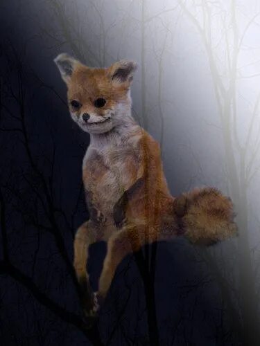 Чучела леса. Чучела леса. Упоротая лиса. Упоротый лис чучело. Необычное чучело.