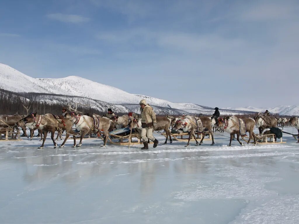 Село Тополиное Якутия. Хатыстыр. Хатыстыр Якутия. Хатыстыр Якутия Алданский район. Тополиное якутия