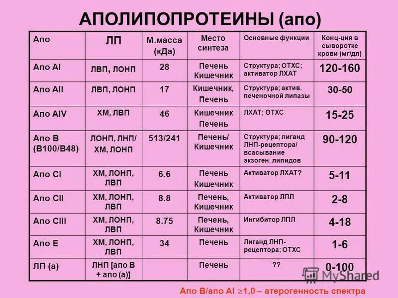 Структура липопротеидов. Аполипопротеин а1. Аполипопротеин а, аполипопротеин в,. Аполипопротеин а1. Аполипопротеин а1.