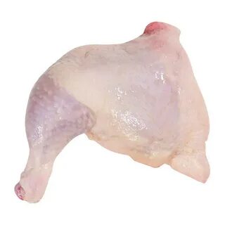 Окорочков 5 букв