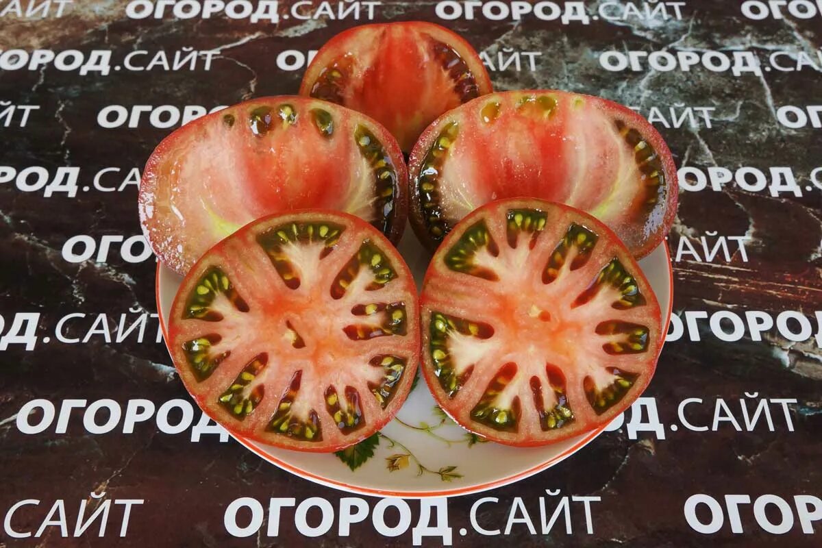 Томат смех. Томат смех кукабарры. томат гном смех кукабарры. kookaburra cackle томат. гном кукабарра томат.
